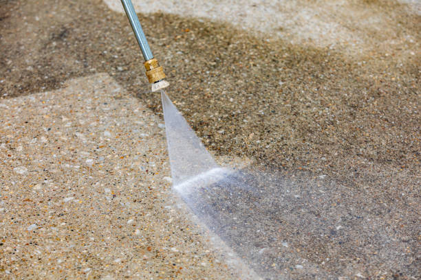Best Patio and Deck Pressure Washing  in Oviedo, FL