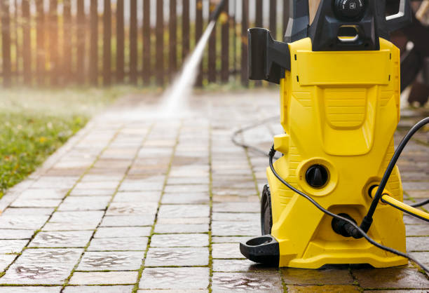 Animal Enclosure Cleaning in Oviedo, FL